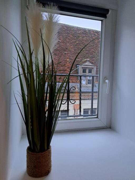 Confortable Studio Renove Cambrai Bagian luar foto